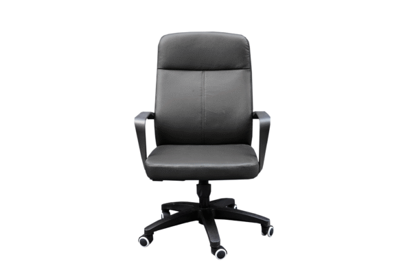 Revolving Chair- Foamy Seat & Adjustable Height - Model # RC M H 518
